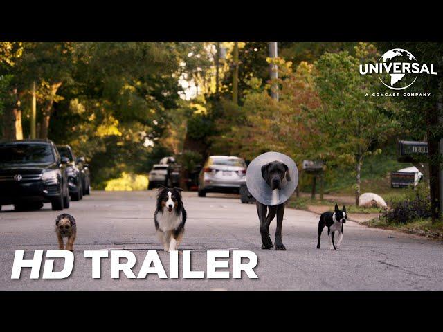 STRAYS | Official Trailer (Universal Studios) - HD