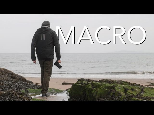 Macro Without Flash: Natural Light Settings and Tips