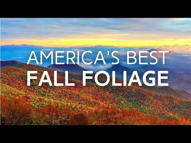 Peak Fall Foliage | 10 Best Cities to Visit in the USA this Autumn!