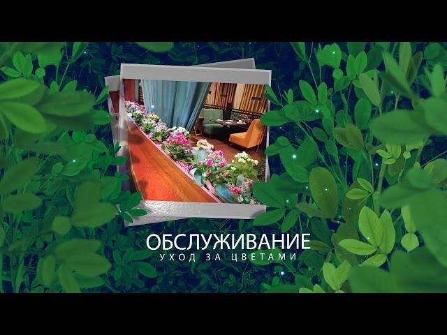 Ролик инстаграм / Флорист