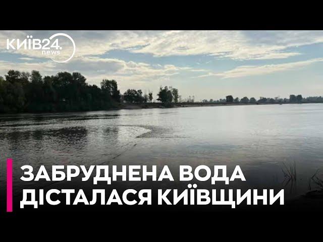 Забруднення Десни дісталося Київщини