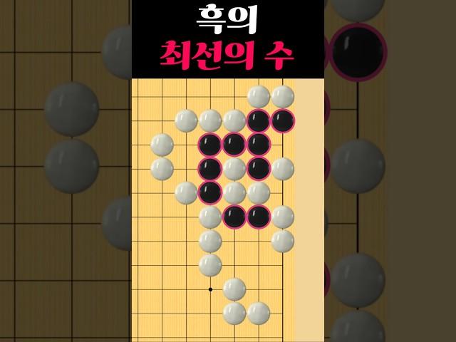 쉬운 바둑 사활 - 흑을 살릴 수 있다고?!
