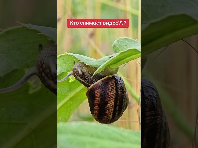 Світ очима ветеринара ️️️#ветеринародеса #ветеринар #ветеринария  #ушаковдмитри #ветеринародесса