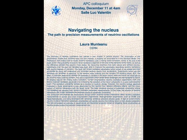 'Navigating the nucleus: The path to precision measurements of neutrino oscillations' by L. Munteanu