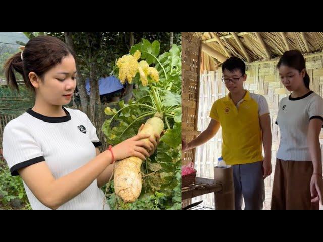 The Kind Boy Comes to Visit - Bringing White Radish to the Market to Sell - Daily Life Part 2