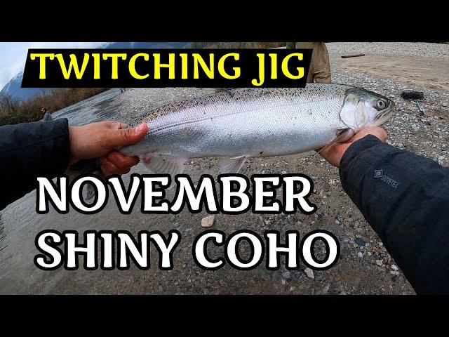 Chasing Shiny Coho Salmon in the Fraser Valley