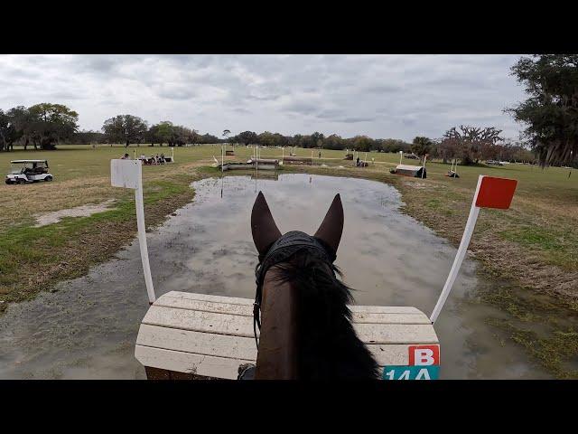 GoPro: Capo dei Capi (Open Preliminary | 2024 Rocking Horse Winter III)