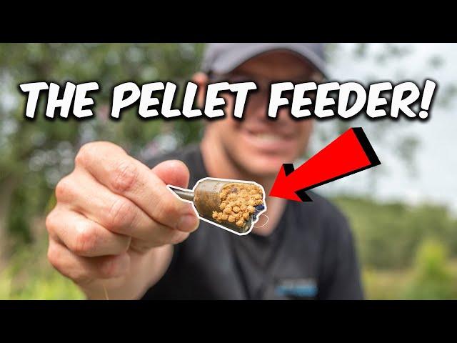 THE PELLET FEEDER | The Most Underrated Carp Tactic | I LOVE THEM!