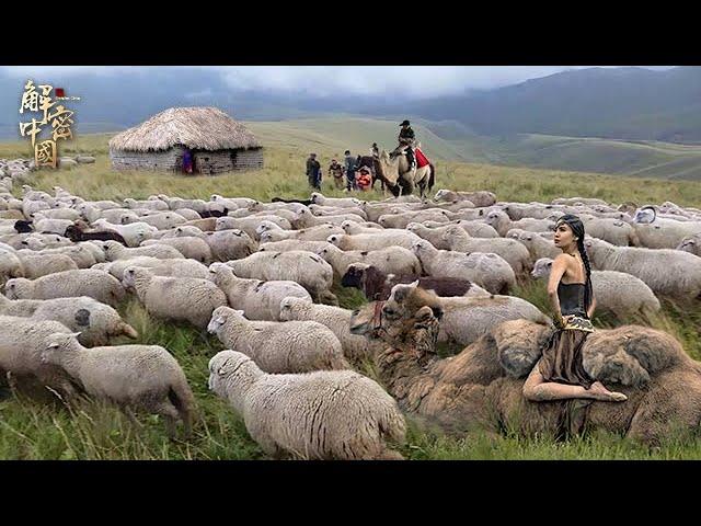 H herds have lived in the grassland for 20 years, and a family of 6 self -sufficiency