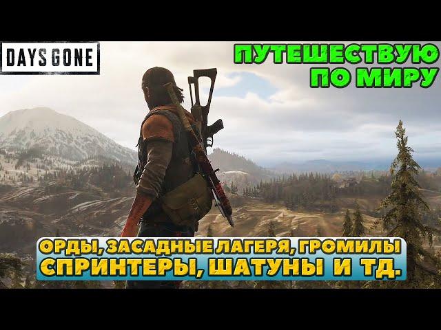 Орды, засадные лагеря, громилы, спринтеры и др. Путешествую по миру Days Gone (Жизнь После).