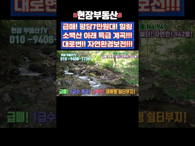 급매 소백산 특급 계곡 평당7만원대 942평 #급매 #부동산 #싼땅 #계곡 #소백산 #용부원리