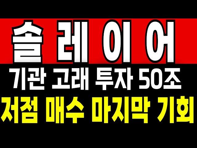[솔레이어 코인] 기관 고래 대규모 투자 저점 매수 기회