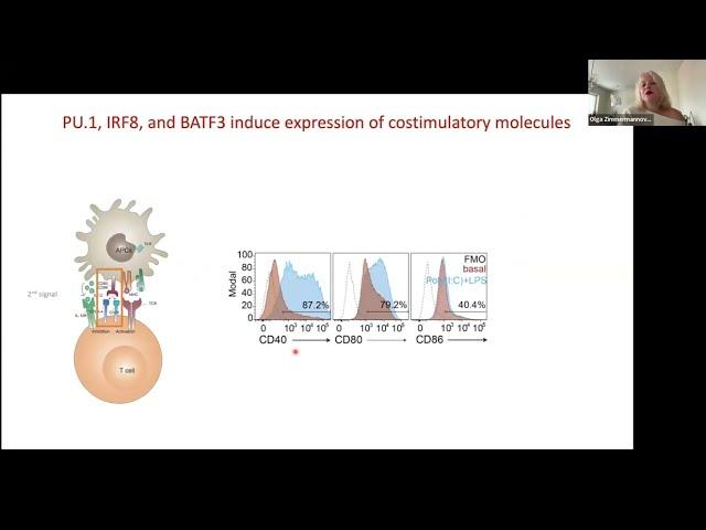 [Olga Zimmermannova] Restoring tumor immunogenicity with dendritic cell reprogramming