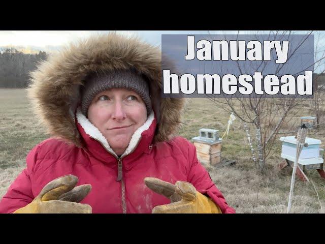 Missouri Homestead : One Year on Our Farm : January