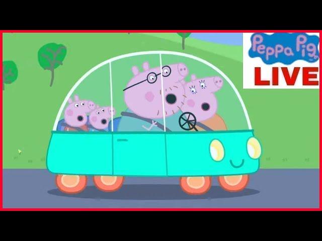  LIVE | Nonstop Peppa Pig Livestream - Join the Fun 24/7!  |