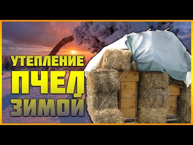 Три способа Утепления пчел зимой. А Вы ЭТО ЗНАЛИ? утеплять или не утеплять пчёл в зиму?Зимовка пчел