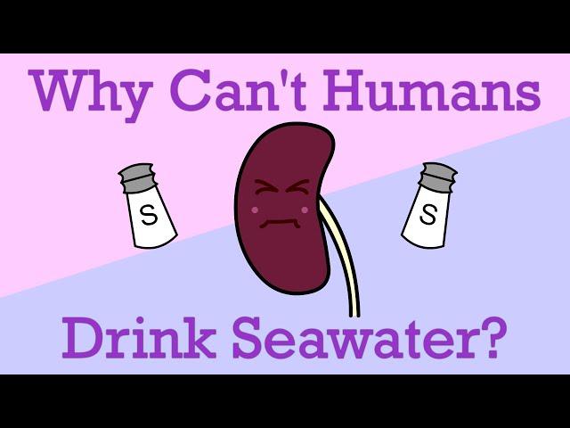 Why Can't Humans Drink Seawater?