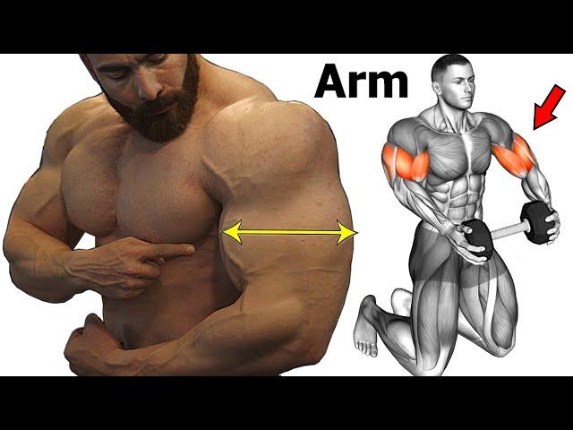 14 Best Workout To Get Big And Perfect Arms