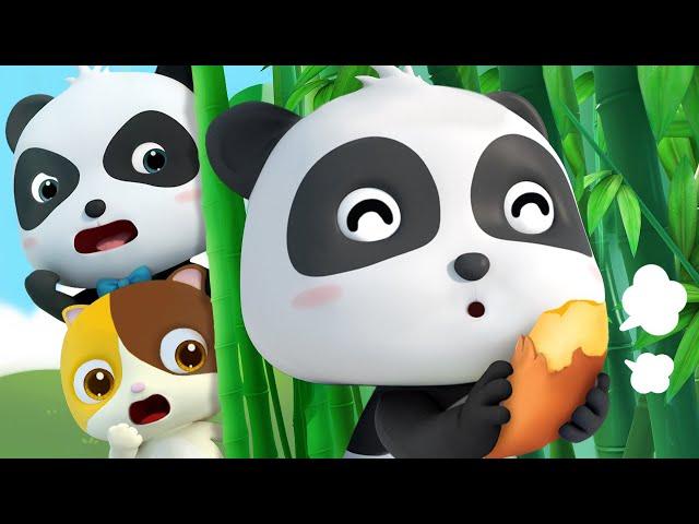 Quem é o Verdadeiro Kiki? | Desenhos Animados | BabyBus Português