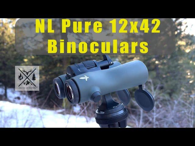 Swarovski Optik NL Pure 12x42 Review