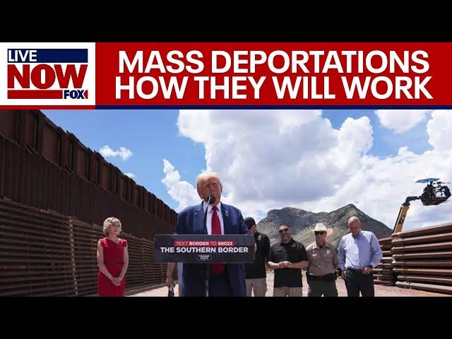 Mass Deportations: How the Donald Trump plan will look once he is sworn in | LiveNOW from FOX