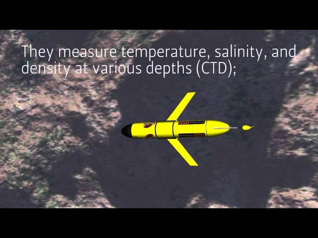 Underwater Robots at Oregon State University