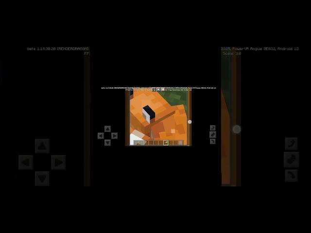 A fox is sleeping in the middle of lava  #short #shorts #funny #minecraft