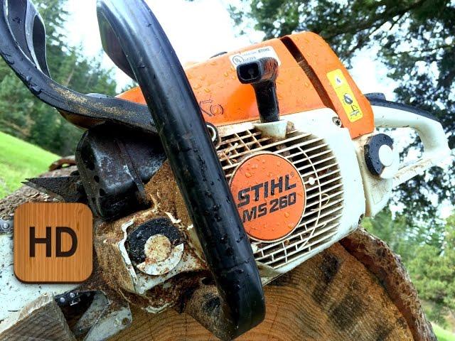 What Chainsaw Is Right For You?