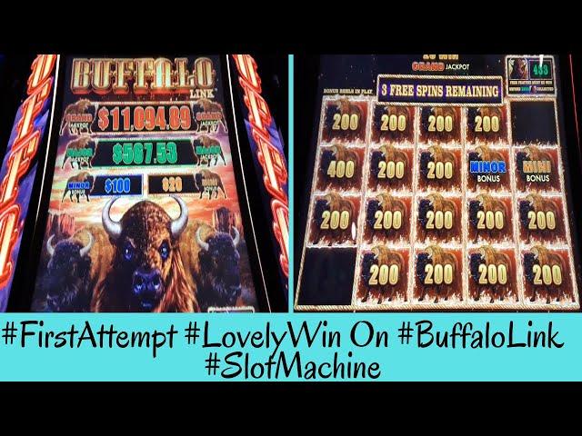 First Attempt LOVELY WIN On BUFFALO LINK Slot Machine - SunFlower Slots