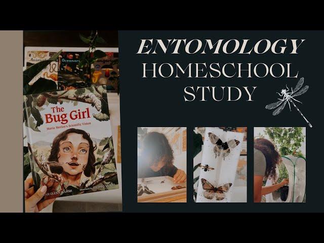 Homeschool Unit Study I Entomology I How we collect specimens