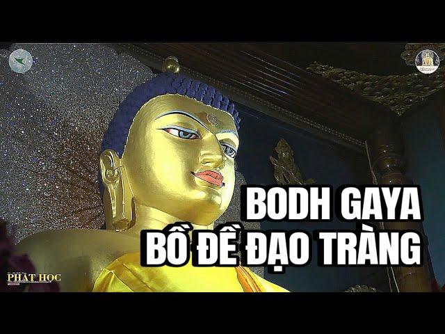 Cội Bồ đề linh thiêng nơi Phật thành Đạo - Bồ Đề Đạo Tràng (BODH GAYA)