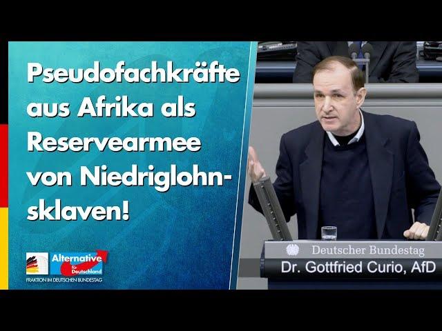 Pseudofachkräfte aus Afrika! - Dr. Gottfried Curio - AfD-Fraktion im Bundestag