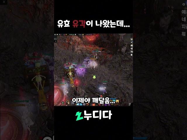 유물 각인서를 먹었어요....그런데...