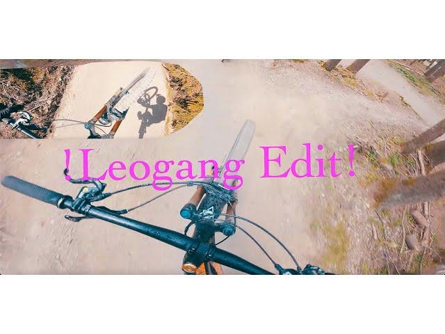 1 mal Leogäng Edit / Freeride elite