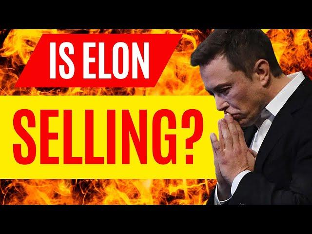Tesla stock DROPPED 4.72% TODAY!