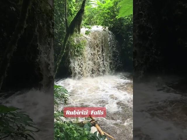 Found in Queen Elizabeth NP