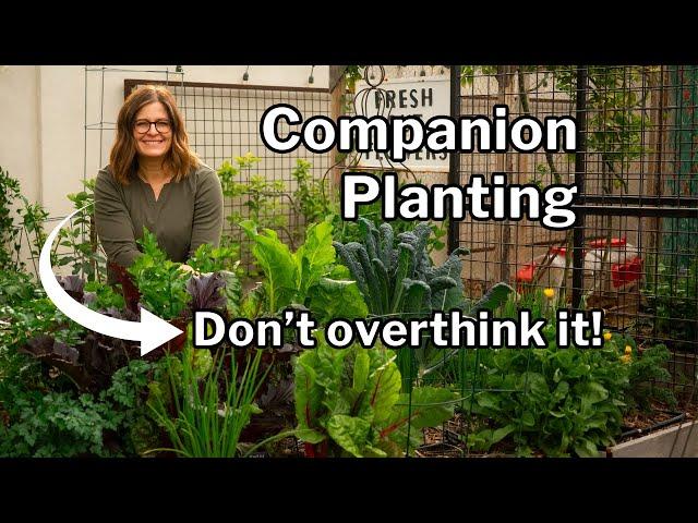 COMPANION PLANTING: 3 Tips to Make it Easy