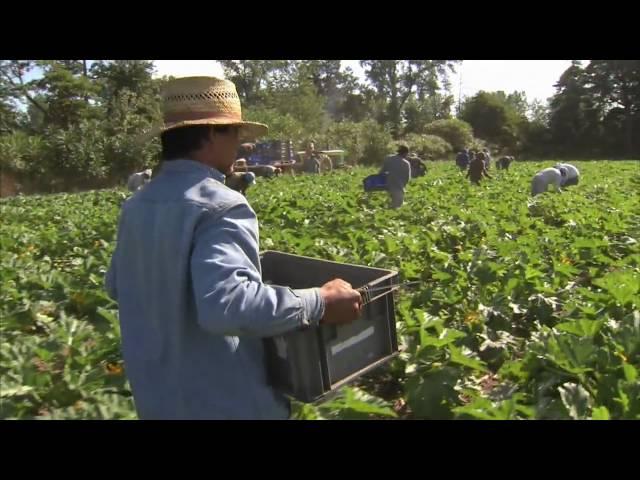 Michigan Farm Family Delivers Fresh Produce - America's Heartland