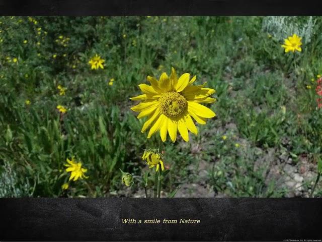Julie Boomer Realtor Video
