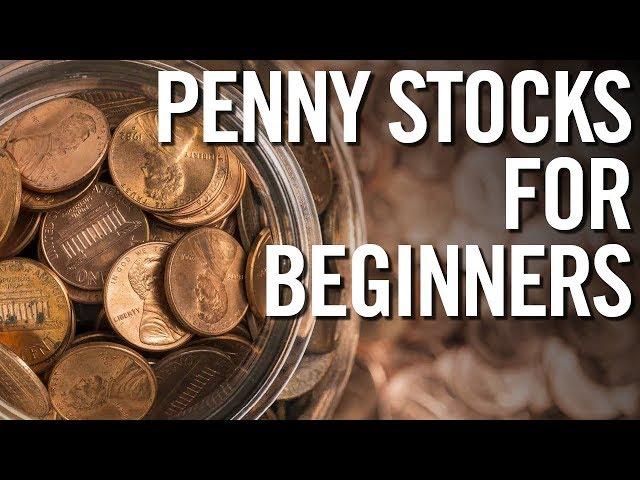 PENNY STOCKS FOR BEGINNERS  Basics Of Investing In Penny Stocks