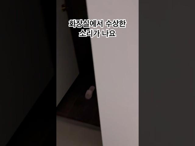 화장실에서 나는 수상한 소리(반려견 도도)