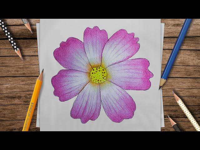 How To Draw a Flower with Pencil Colour / Most Beautiful Flower Drawing Tutorial