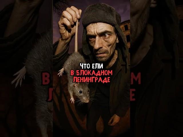 Что ели в блокадном Ленинграде #история #факты #прошлое #интересно #ссср #познавательно