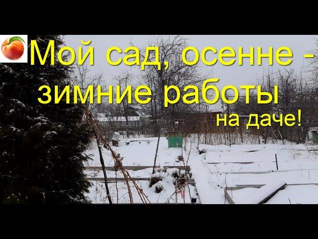 Сад и дача Осенние и зимние приятные работы в саду Готовимся к большому урожаю уже сейчас!