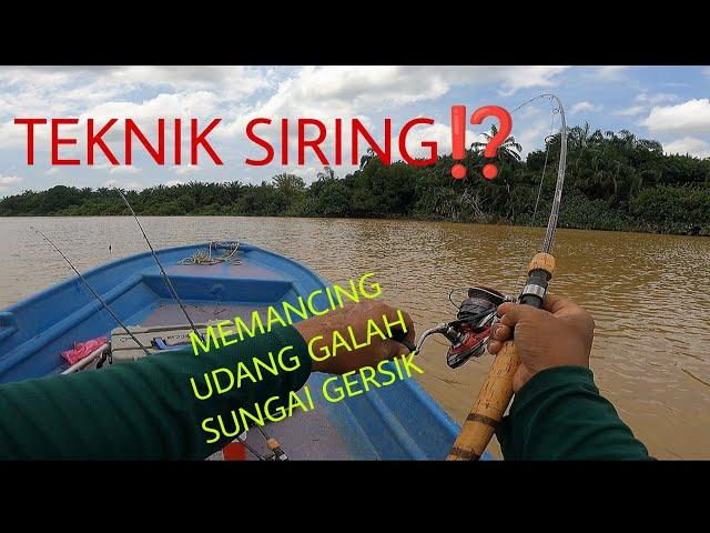 Kenapa Perlu Rajin Pindah Ketika Memancing Udang Galah⁉️ Udang Galah Suka Pindah Randah‼️