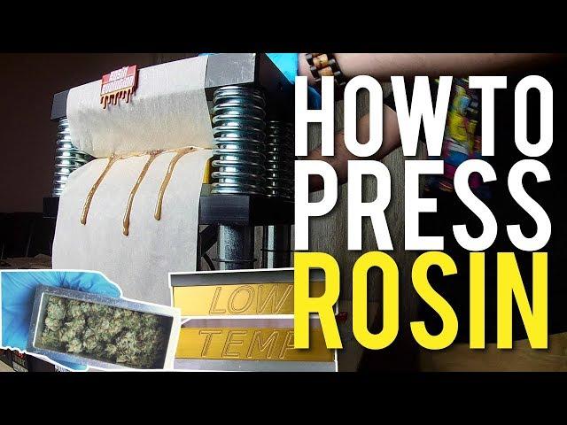 ROSIN PRESS: FULL PROCESS TO SAFE WAX EXTRACTIONS