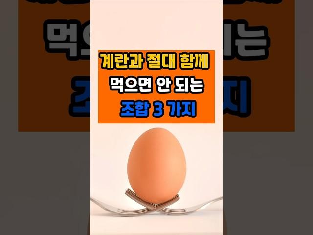 계란과 절대 함께 먹으면 안 되는 조합 세 가지 #면역 #음식 #건강 #꿀팁 #계란
