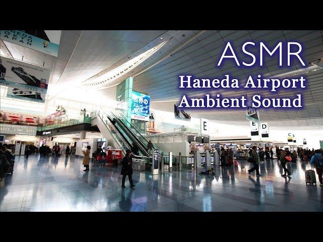 Haneda Airport Ambience Sound