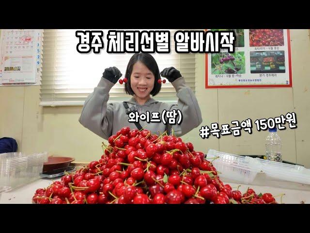 한국에서 처음 알바시작하고 허리아프다고 고생중인 아내