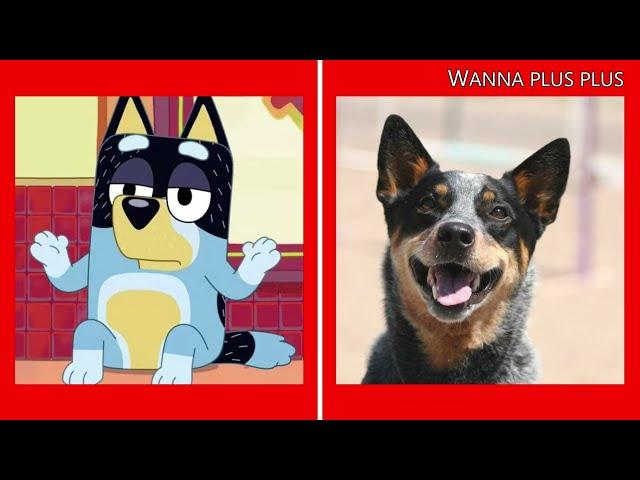 Bluey Characters If They Were in REAL LIFE 2022  @Wanna Plus Plus